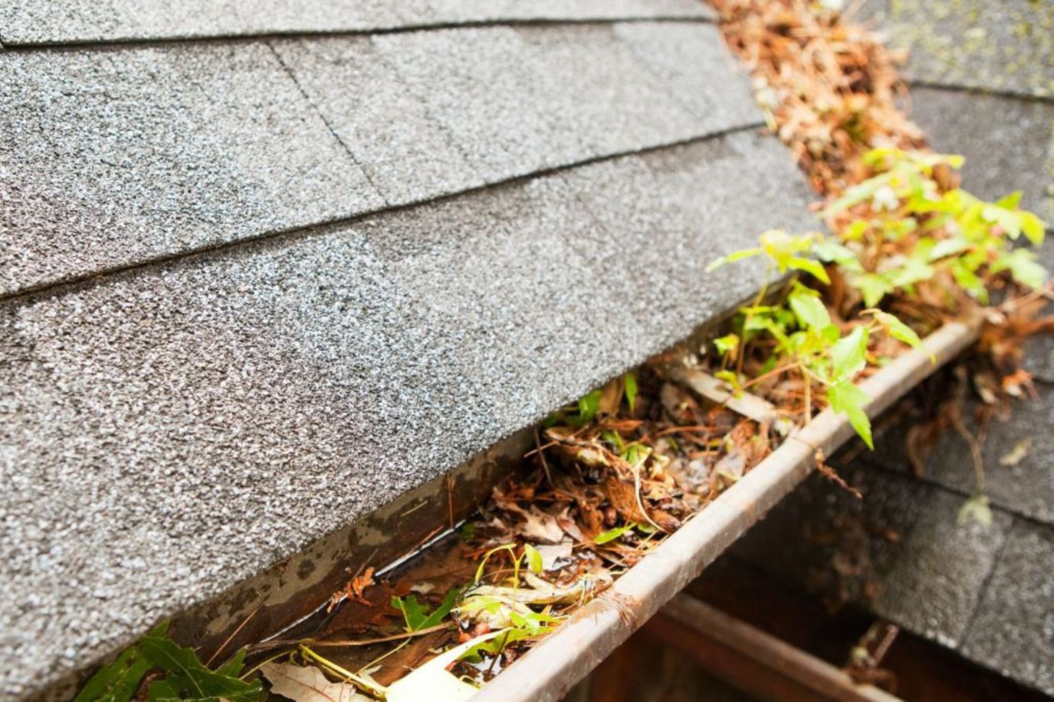 Are Your Gutters Trying to Tell You Something Visual Signs It’s Time for a Gutter Upgrade