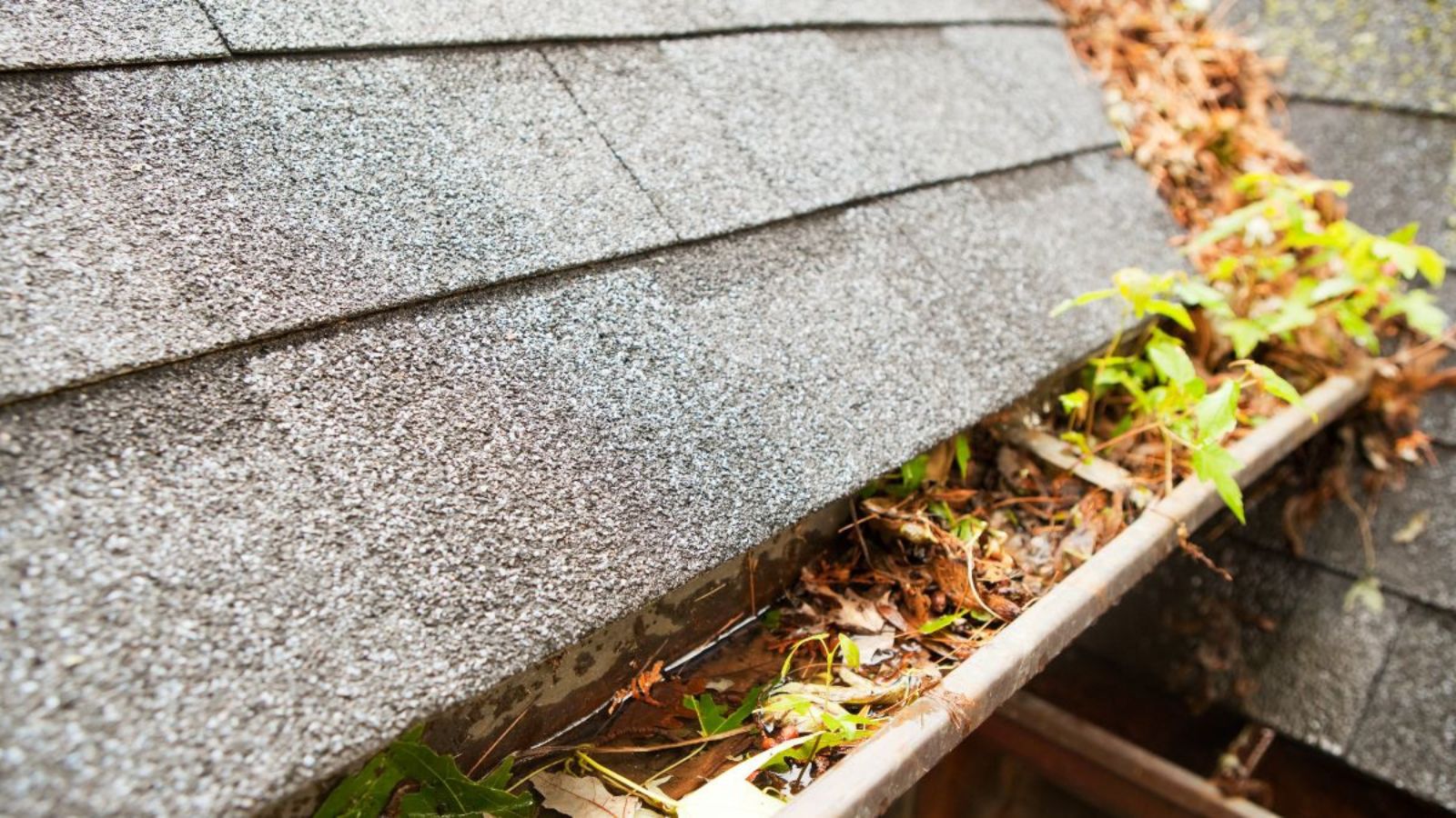 gutter upgrade